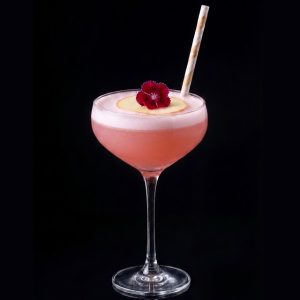clover Сlub
